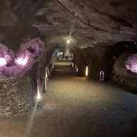 Soltur Viagens e Turismo