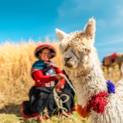 Soltur Viagens e Turismo